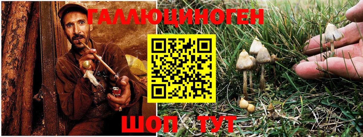 Галлюциногенные грибы прущие грибы  Галлюциногенные грибы GOLDEN TEACHER  дарнет шоп  Сургут  Вход с VPN 