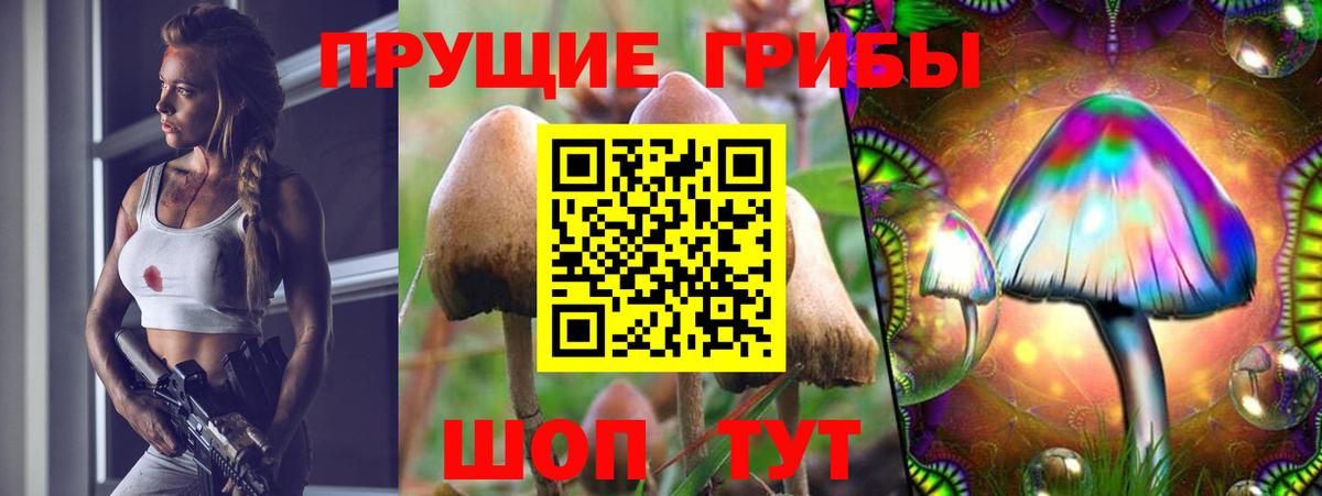 Галлюциногенные грибы прущие грибы Сургут